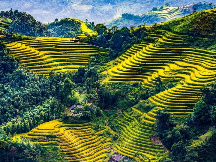 Xu hướng 6/6 năm nay trôi qua trong: Hotspot Matrix tiết lộ bí quyết video viral
