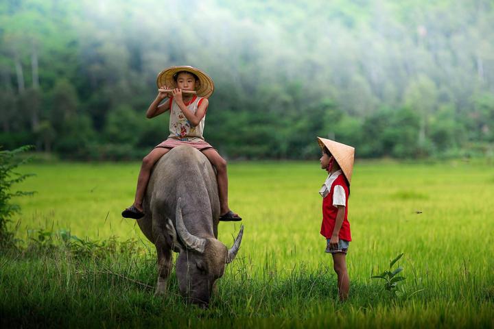 Xu hướng Vì đời người đâu dễ có thêm: Hotspot Matrix tiết lộ bí quyết video viral