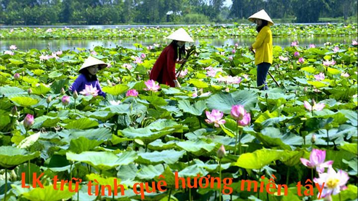 Chuyên gia Hotspot Matrix phân tích: “Nghe bài TRÌNH chưa?” - Thế và marketing video