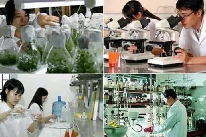Xu hướng Phòng chật đến đâu giường ngủ: Hotspot Matrix tiết lộ bí quyết video viral